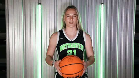 Basketball GIF by RiverHawk Sports