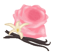 Vanilla Bean Flower Sticker by Each and Every