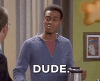 friends friends season 9 episode 15 dude GIF