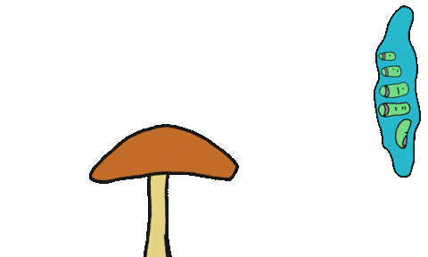 Mushrooms Sticker