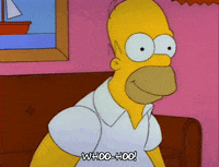 homer simpson GIF
