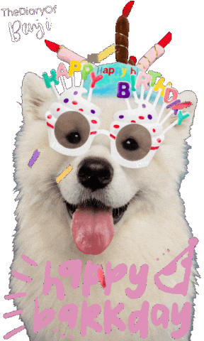 Happy Birthday Party Sticker
