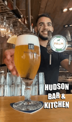 Hudsonalmere beer hudson witbier latrappe GIF