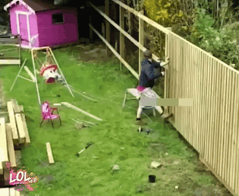 giffunme giphyupload GIF