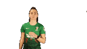 Northern Ireland Football Sticker by Glentoran Women FC