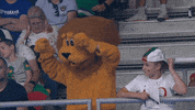 Dance Party GIF by Volleyball World