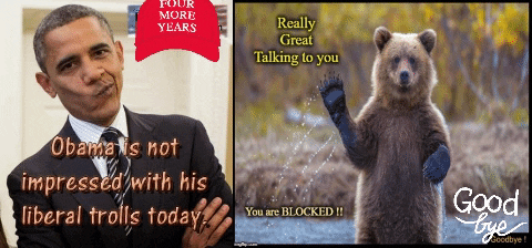 killene giphygifmaker giphyattribution GIF