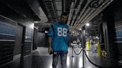 charlotte hornets basketball GIF by NBA