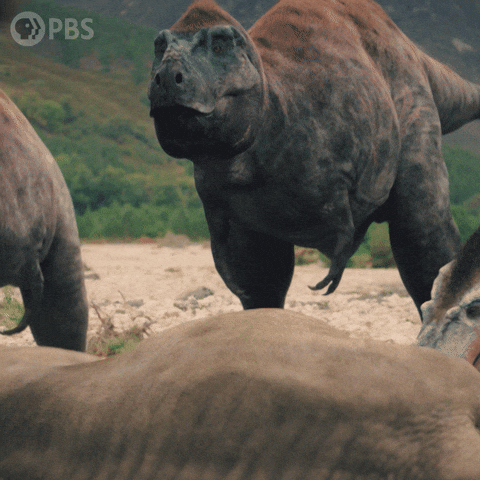 Disappointed Walking With Dinosaurs GIF by PBS