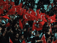 Turkiye GIF by Besiktas JK