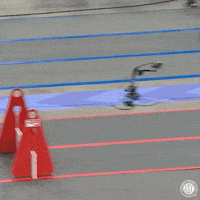 Fetch Espn GIF by American Kennel Club