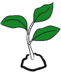 Coffee Plant Sticker by Tchibo