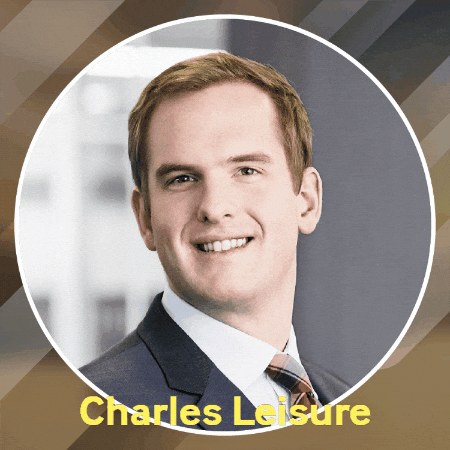 charlesleisure giphygifmaker giphyattribution GIF