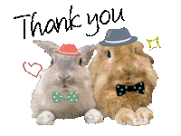 Thanks Bunny Sticker