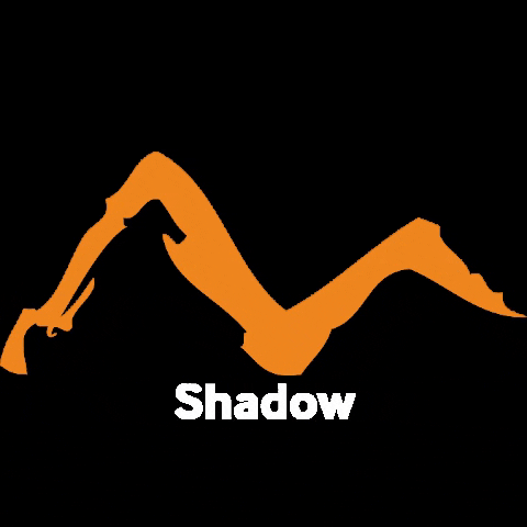 ShadowRockChurch giphygifmaker rock church shadow GIF