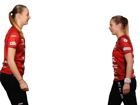 Floorball Salibandy Sticker by Tatran Stresovice
