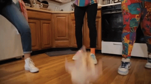 BUFUcomedy no sad comedy fail GIF