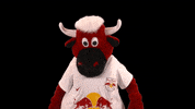 Goal Celebrate GIF by FC Red Bull Salzburg