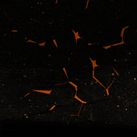 Vimarboots GIF by VIMAR