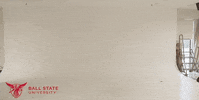 Oh No Oops GIF by Ball State University