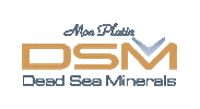 Dsm Sticker by Monplatin