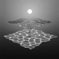 render black & white GIF by somenerv