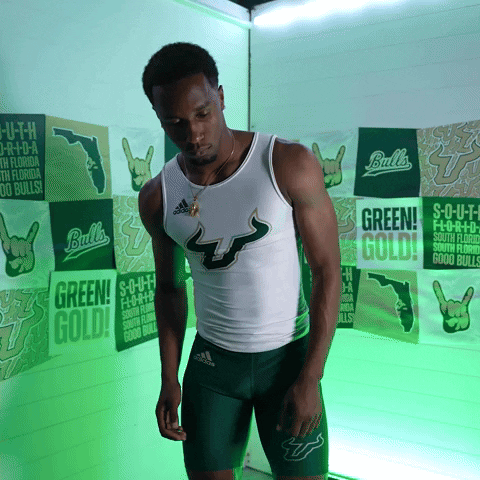 South Florida Horns Up GIF by USF Athletics