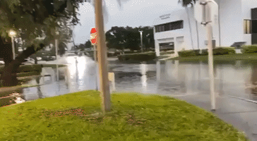 Motorists Maneuver Flooded Miami Beach Streets