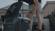 GIF by Kiwibot