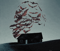 Flying Pop Art GIF by Xinanimodelacra