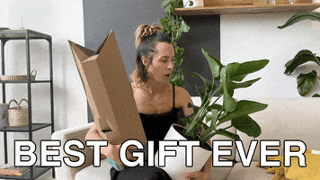 Gift Plant GIF by feey.pflanzen