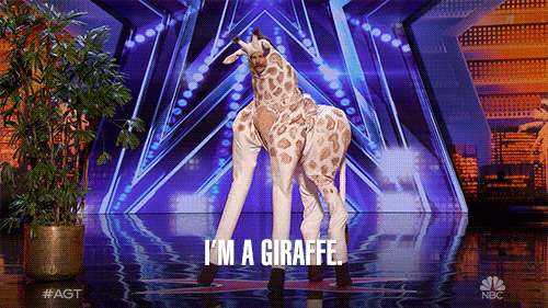 Giraffe GIF by America's Got Talent