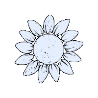 agrokontakt sunflower seed seeds saat Sticker