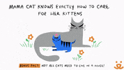 Cat Save Them All GIF by Best Friends Animal Society