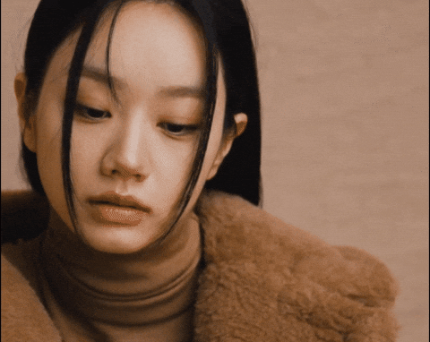 Fall Autumn GIF