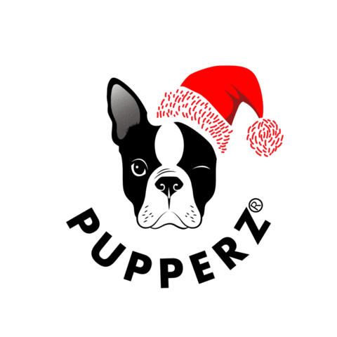 pupperzau boston terrier santa paws pupperz pupperzau Sticker