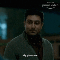 No Worries Youre Welcome GIF by primevideoin