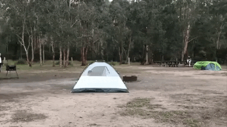 nun prank GIF
