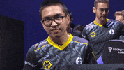 League Of Legends Thumbs Up GIF by Evil Geniuses