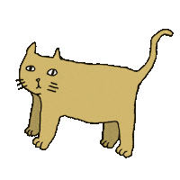 Cat Sticker by courtney hassmann