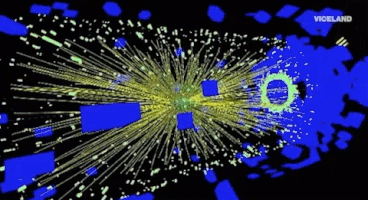 viceland GIF by Motherboard