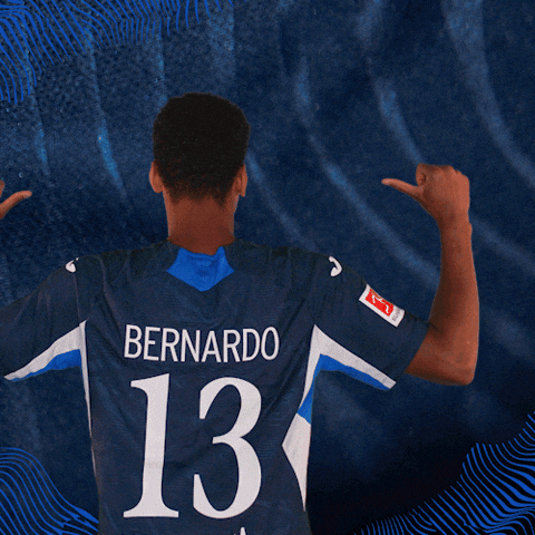 Sport Bundesliga GIF by TSG Hoffenheim