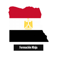 Egypt Flag Sticker by Formación Ninja