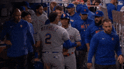 Celebrate Major League Baseball GIF by New York Mets
