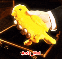 Cicikus GIF