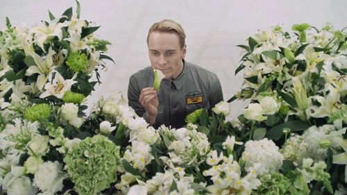 Michael Fassbender Flowers GIF by Alex Bedder