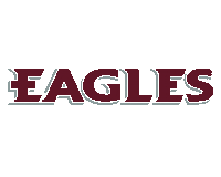 Field Hockey Soccer Sticker by Eastern University