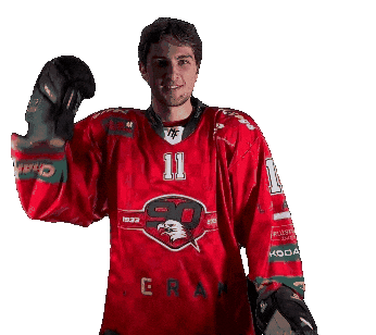 HCORLIZNOJMO giphyupload 11 orli znojmo Sticker