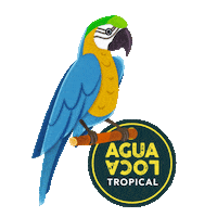 Sushi Catania Sticker by Agualoca
