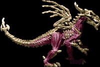 andres1988 90s arcade skull boss GIF